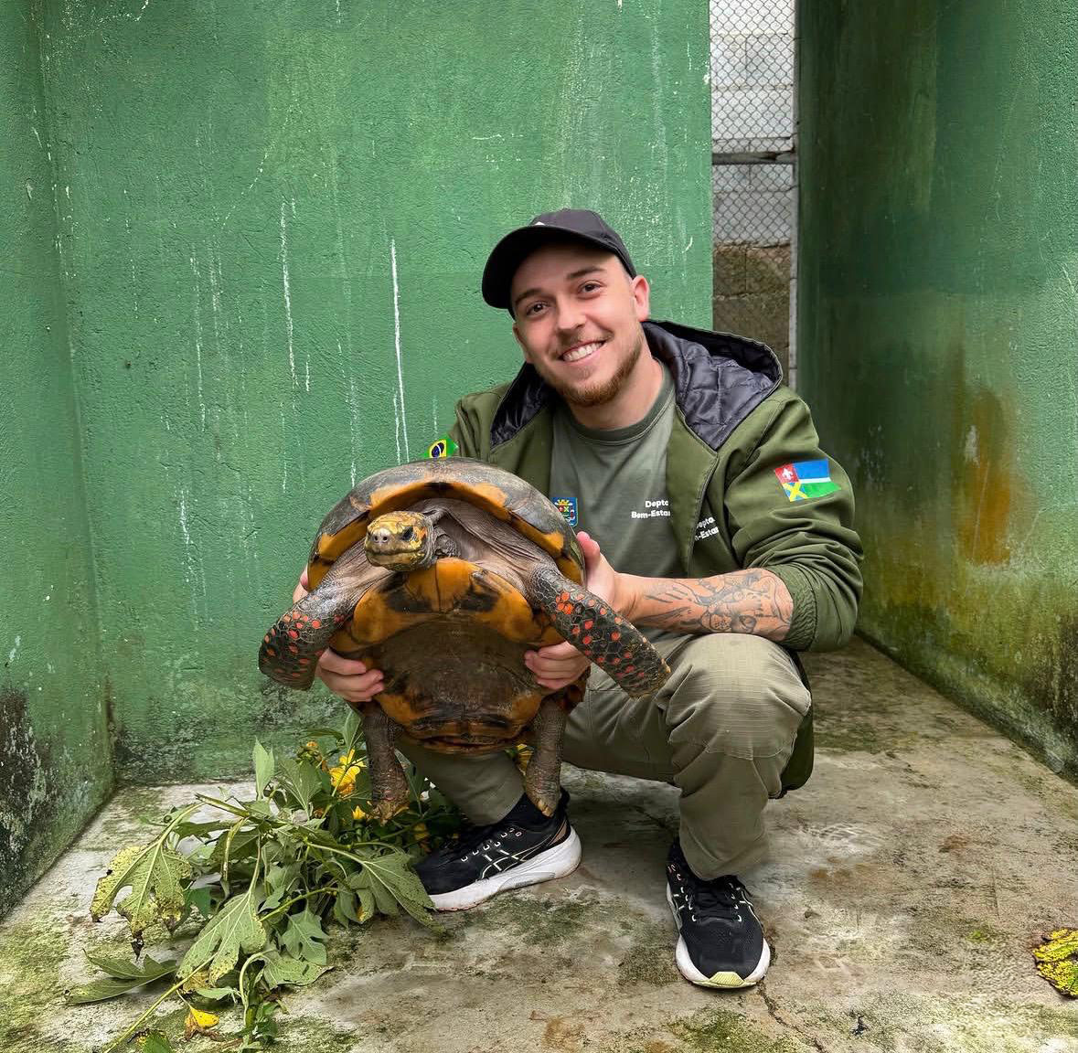 Manejo de fauna silvestre